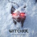 آغاز روند ساخت بازی The Witcher 4 به صورت رسمی تایید شد